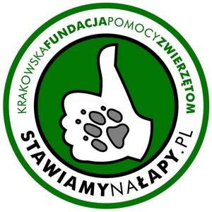 stawiamy-na-lapy